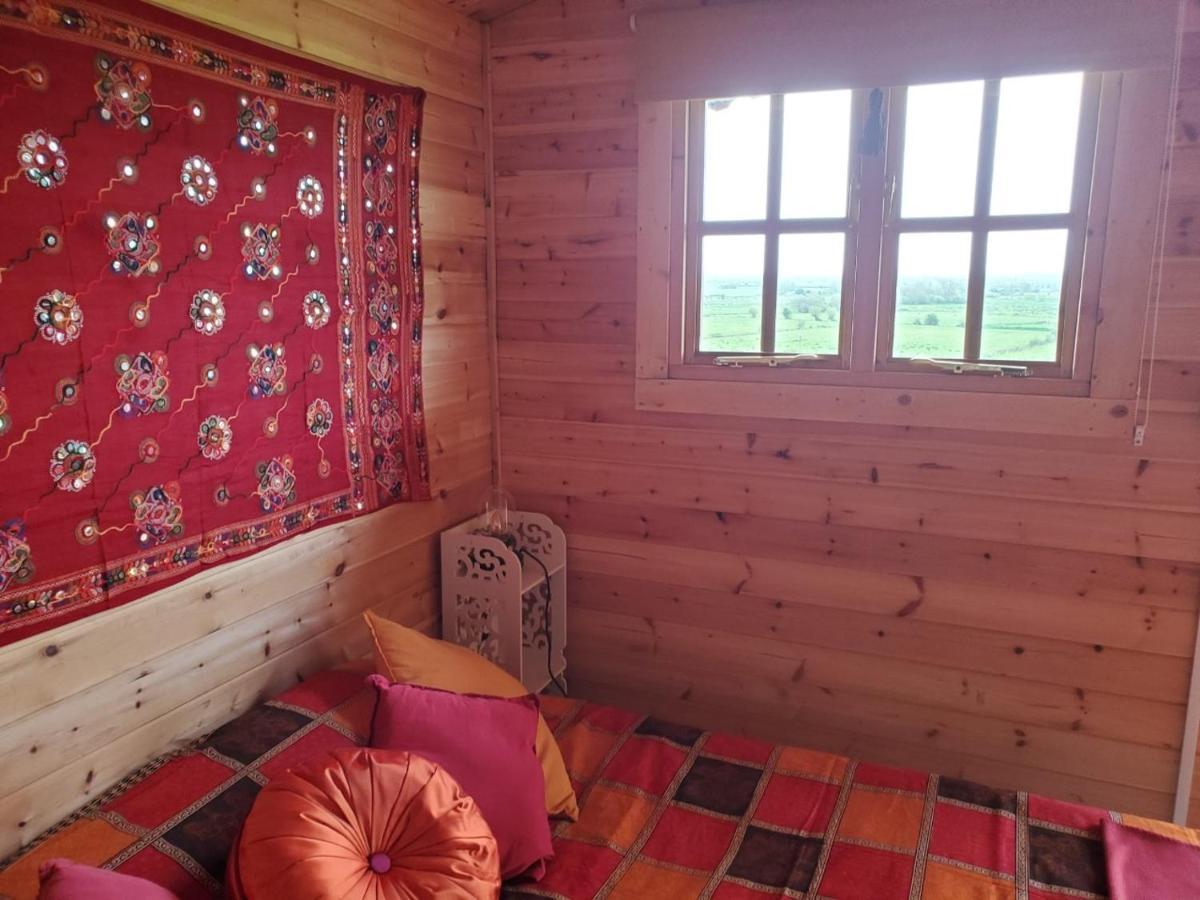 Healing Waters Sanctuary: Glastonbury's Holistic Retreat Exterior photo